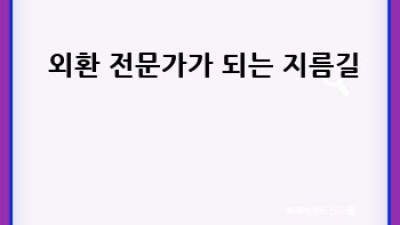 외환 완전정복 💰 환율, 거래, 꿀팁까지!