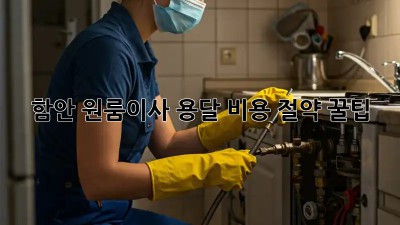 함안 원룸이사 용달 비용 절약 꿀팁🍯