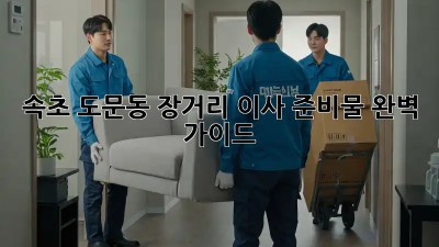 속초 도문동 장거리 이사 준비물 완벽 가이드